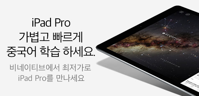 비네이티브에서 최저가로 iPad Pro를 만나세요.